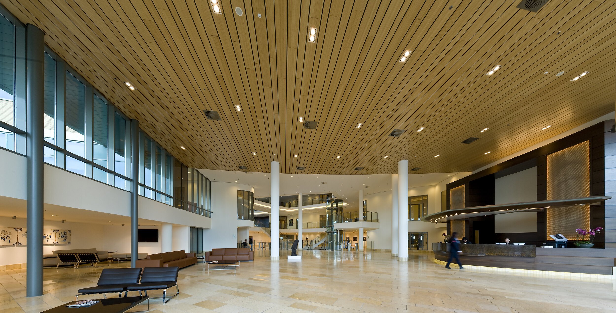 WoodLine-Parallel-linear-wall-and-ceiling-planks